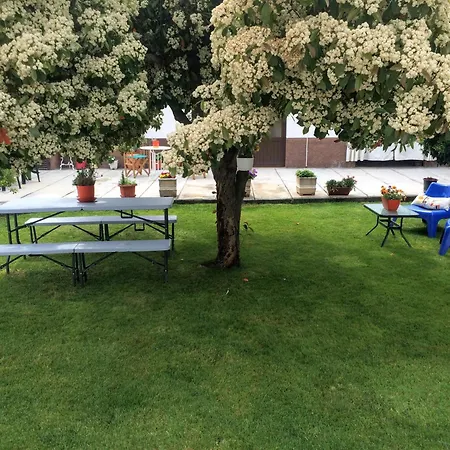 Casa De Ferias Mariceu Mirandela