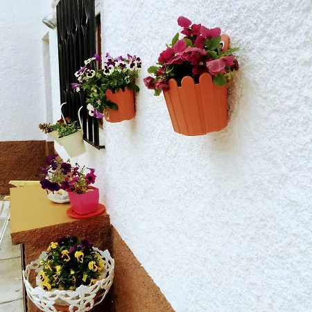 Casa De Ferias Mariceu Holiday home *
