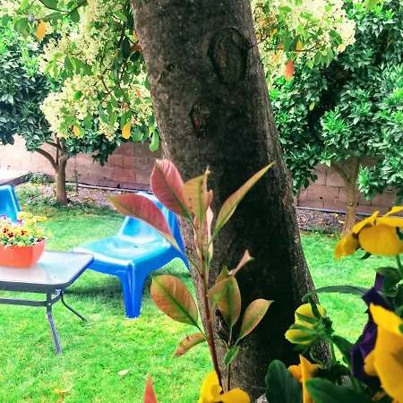 Casa De Ferias Mariceu * Mirandela