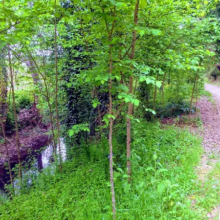 Casa De Ferias Mariceu Holiday home