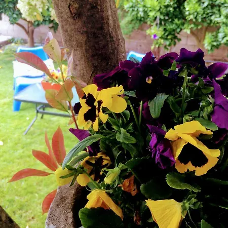 Casa De Ferias Mariceu