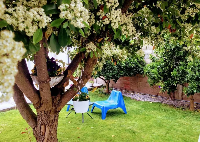 Hébergement de vacances Casa De Mariceu Mirandela